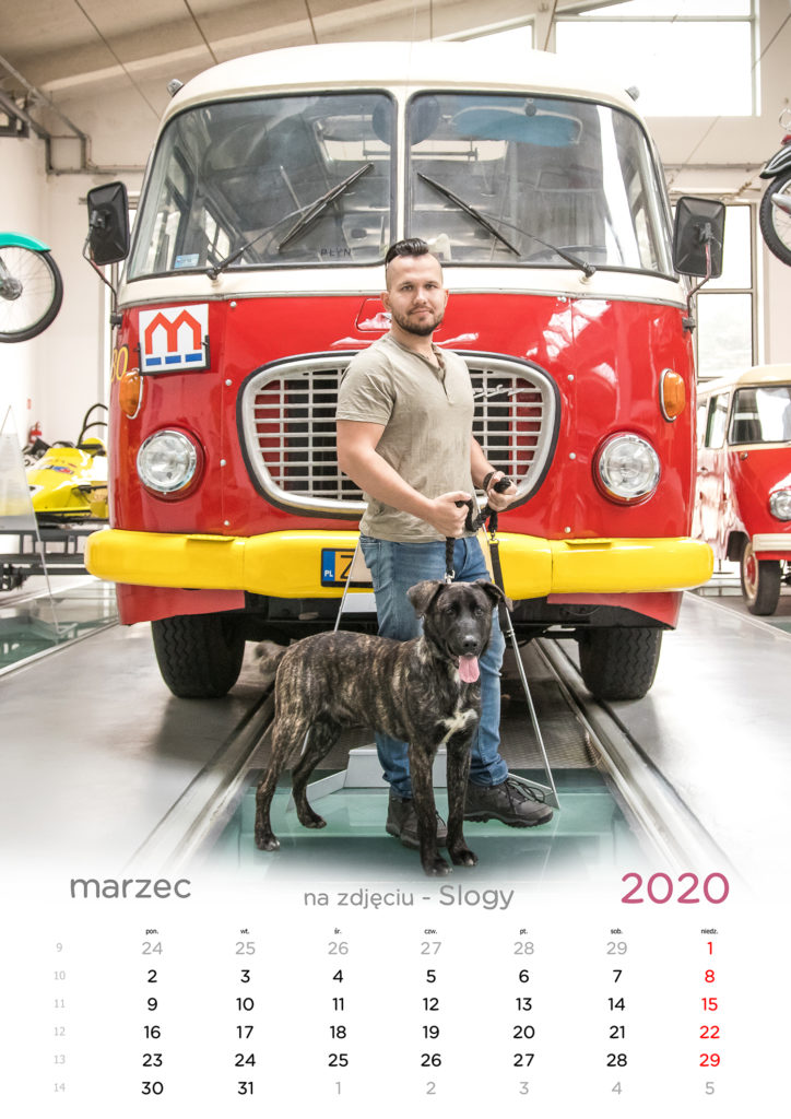 kalendarz 2020 dla schroniska Szczecin