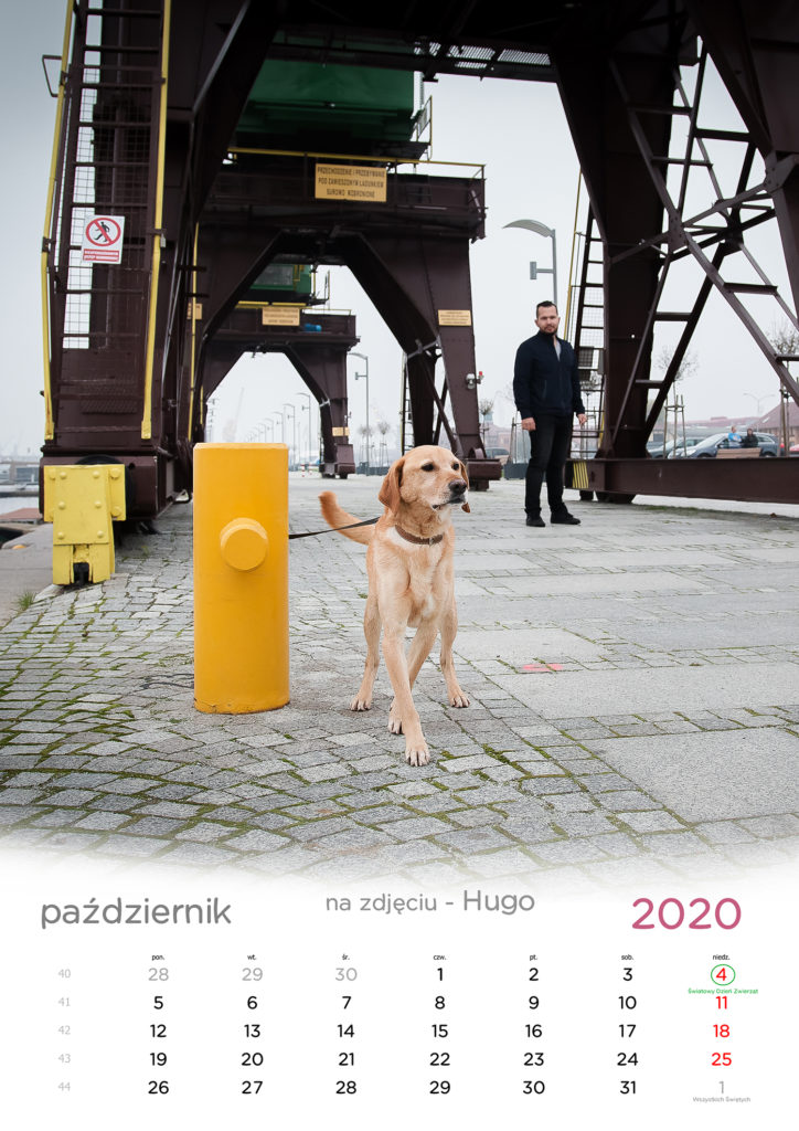 kalendarz 2020 psy